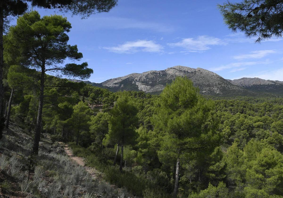 Sierra Espuña, en imagen de archivo.