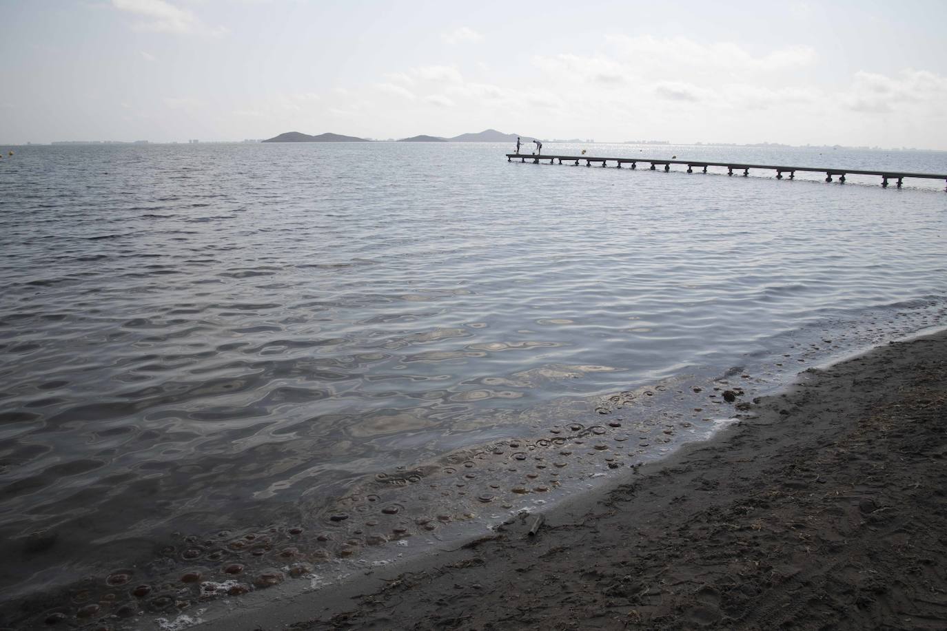 Cientos de medusas se acumulan en Punta Brava y Los Urrutias