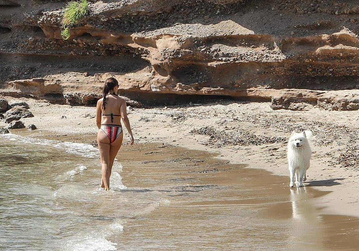 La heladería en el Puerto de Mazarrón con helados para tu peludos.