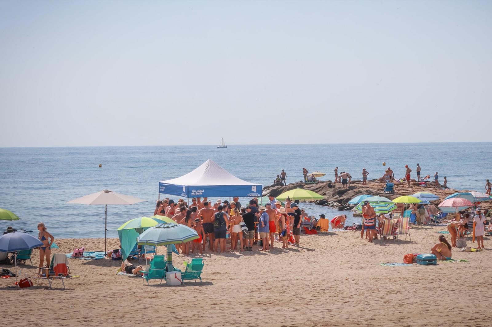 La tortuga &#039;Pura Vida&#039; visita por segunda vez este verano las playas de Torrevieja
