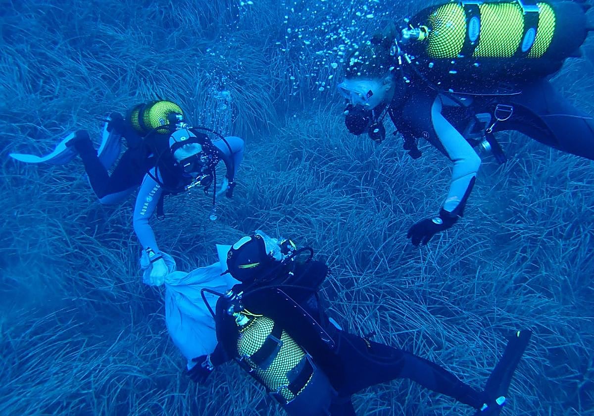 Tres buceadores tratan de limpiar de residuos una pradera marina de posidonia en La Azohía (Cartagena).