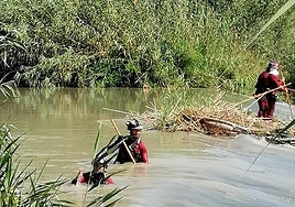 Bomberos buscan en el cauce del río Segura en Archena, este martes.