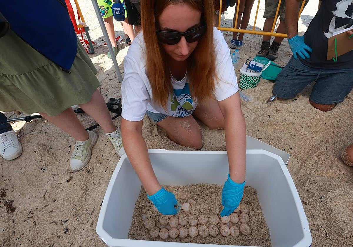 Recogen los huevos del nido.