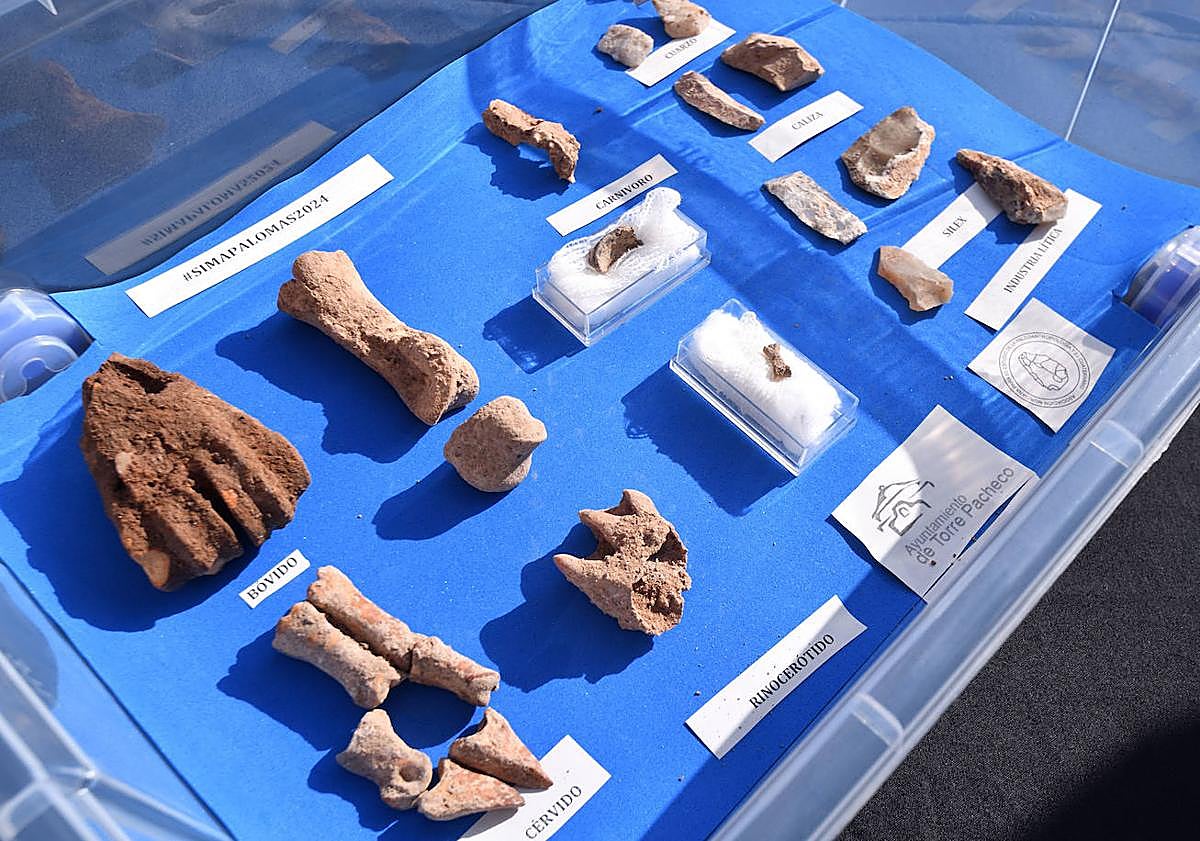 Imagen principal - Hallan huesos de neandertal de hasta 130.000 años en la Sima de las Palomas