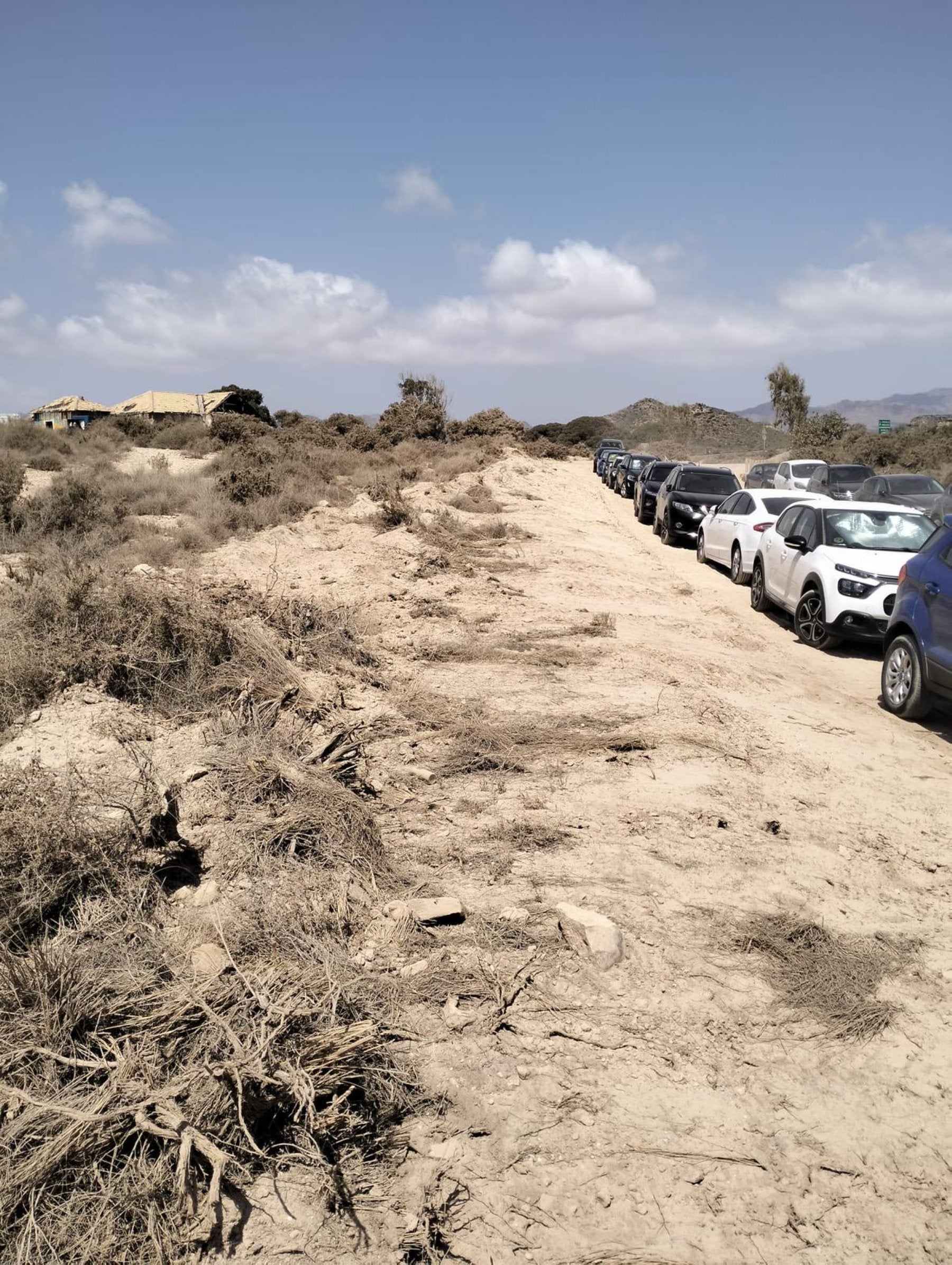 Vegetación alterada en Cuatro Calas para ampliar el acceso.