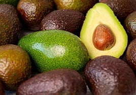 Aguacates, en una imagen de archivo.