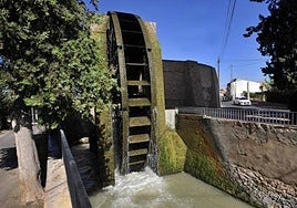 La Rueda de La Ñora.