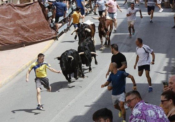 Varios hombres corren delante de los novillos en el último encierro de las fiestas de Blanca.