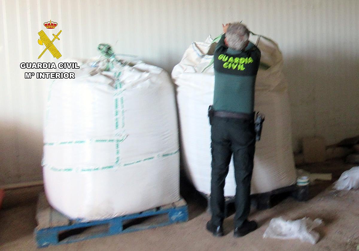 Un agente revisa las bolsas en las que guardaban las semillas.