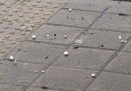 Precipitaciones en forma de granizo caídas este miércoles en Murcia.