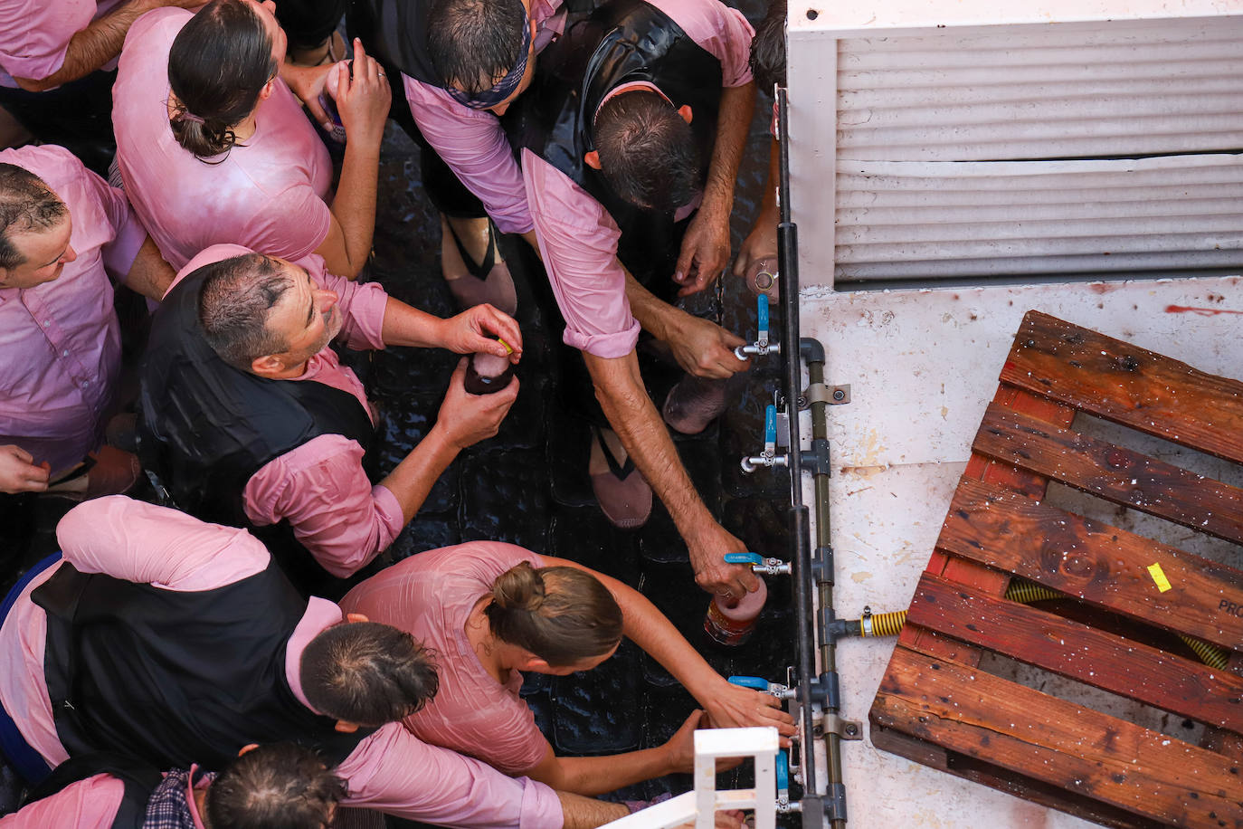 La Gran Cabalgata del Vino de Jumilla, en imágenes