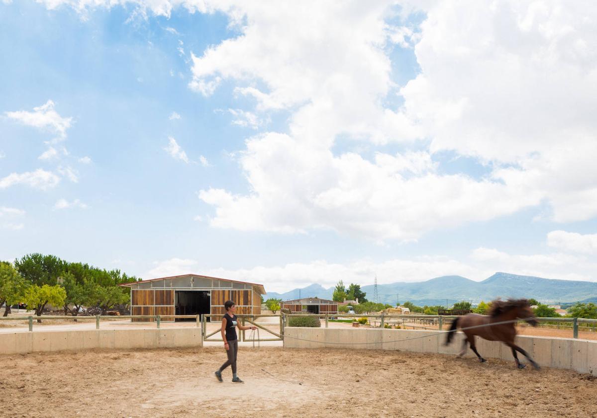 Imagen principal - Unas cuadras para caballos