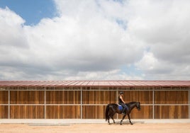 Unas cuadras para caballos