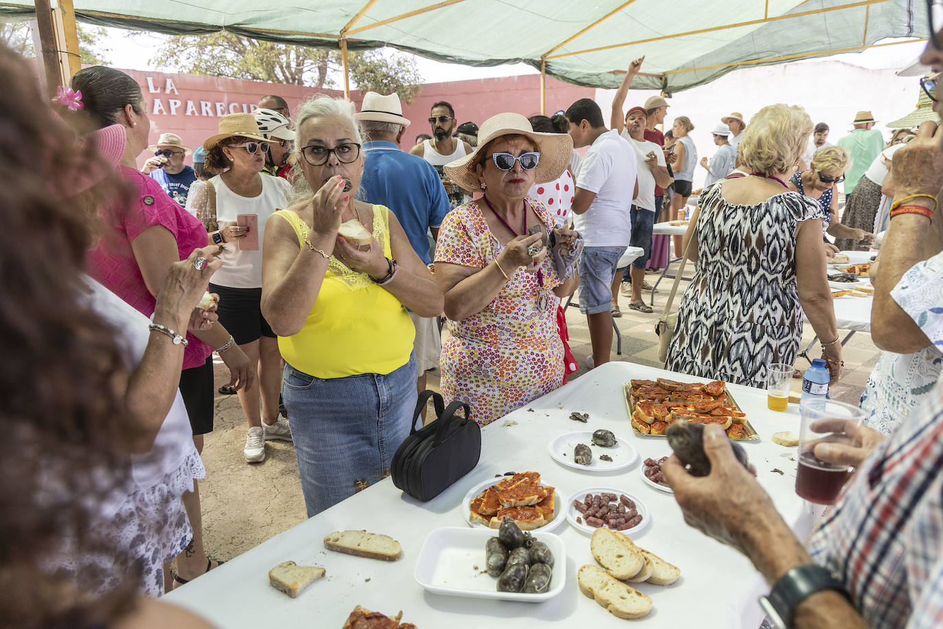 La romería de San Ginés de la Jara 2024, en imágenes