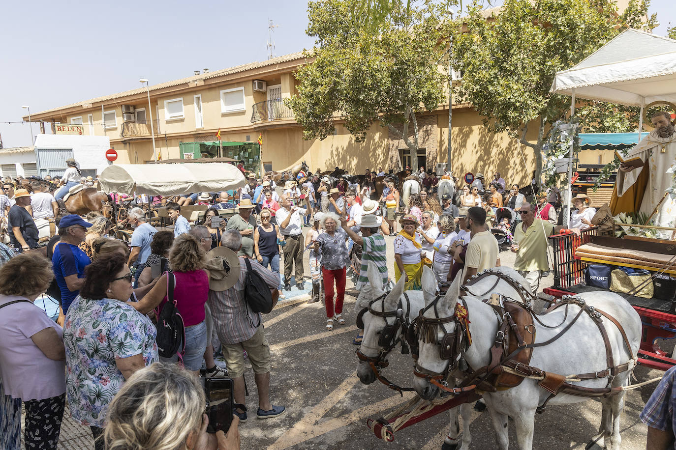 La romería de San Ginés de la Jara 2024, en imágenes