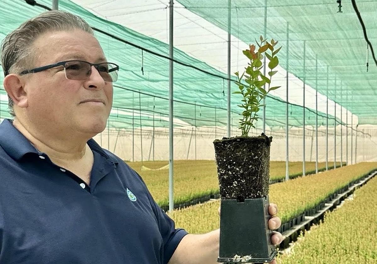 Luis Miguel Peregrín, durante una visita a invernaderos en China.