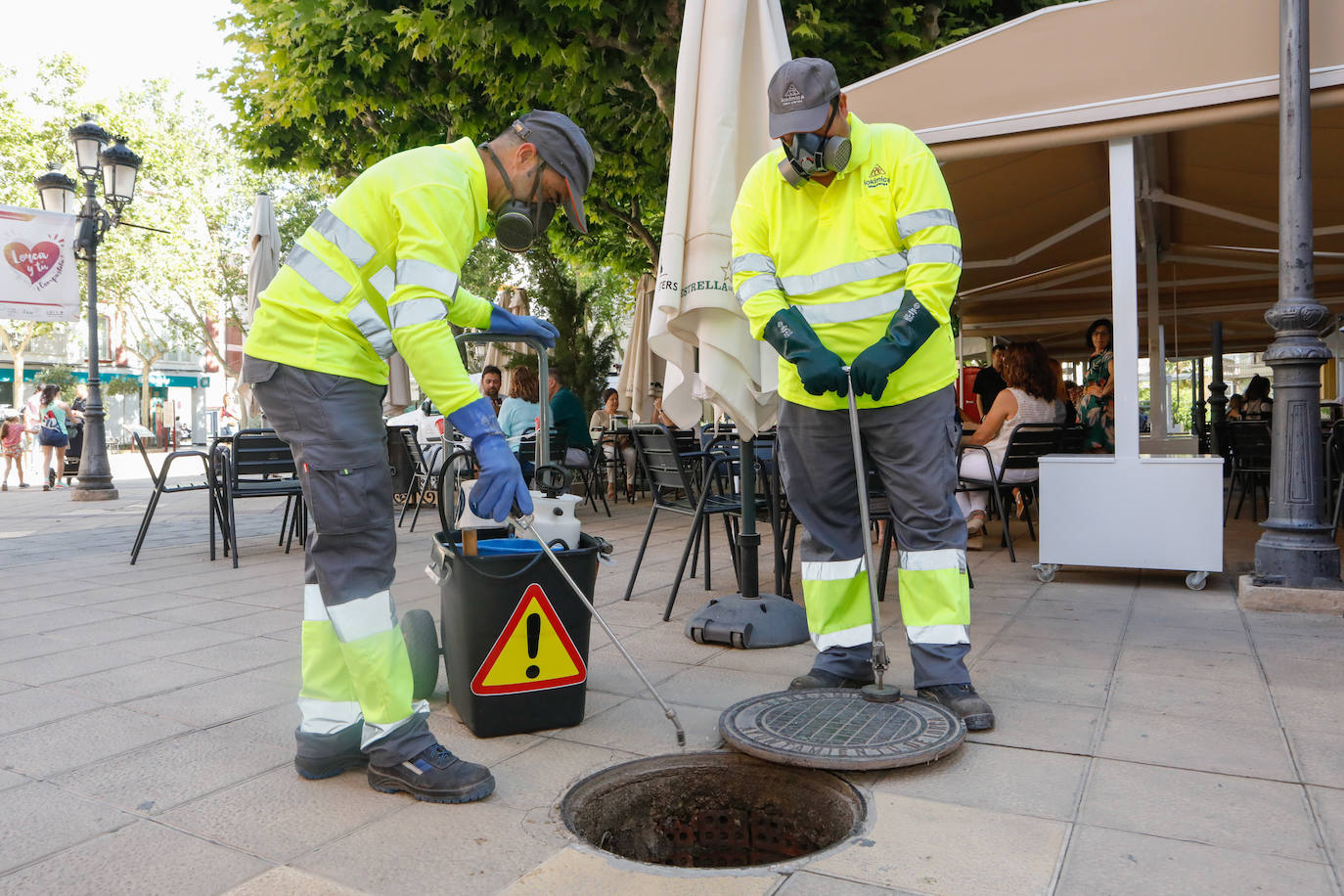 Tareas de control de plagas en Lorca.