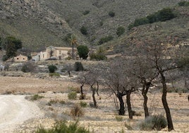 La casa solariega, al fondo, que preside la finca Castillo de Chuecos (Águilas).