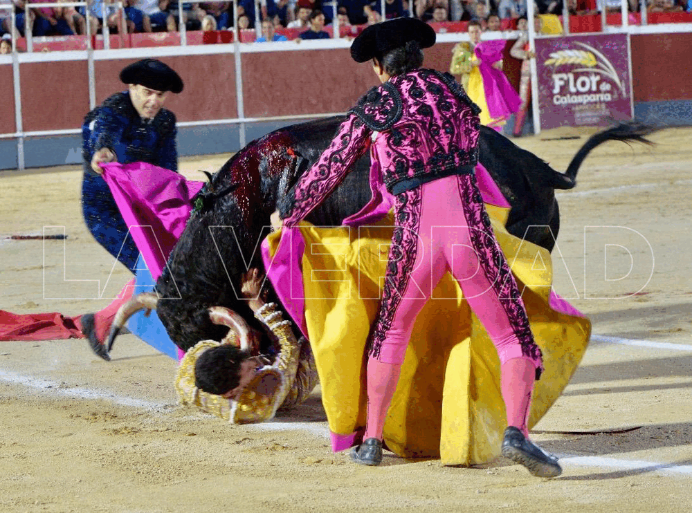 El novillero César Pacheco sufre una cornada en el cuello en la corrida de Calasparra.