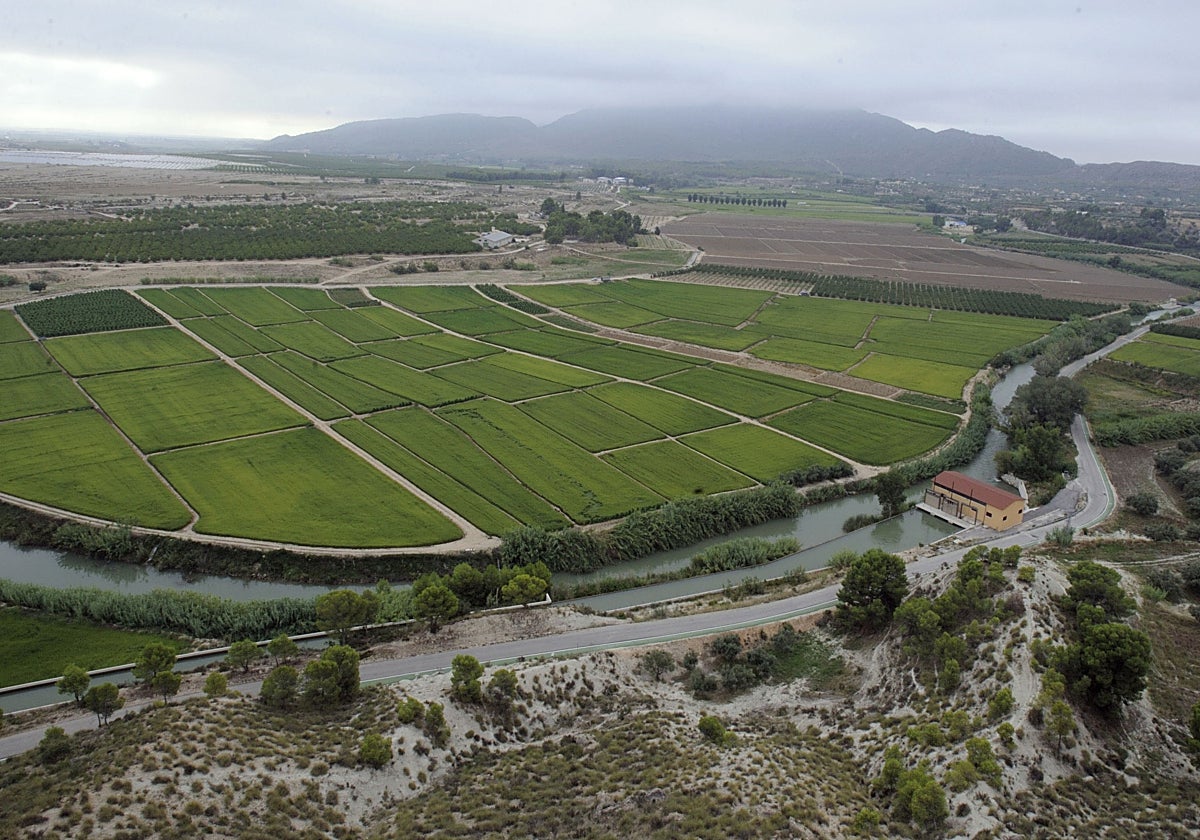 Vista aérea del río Segura y del coto arrocero al noroeste de la Región, que abarca Calasparra y parte de Hellín (Albatece).