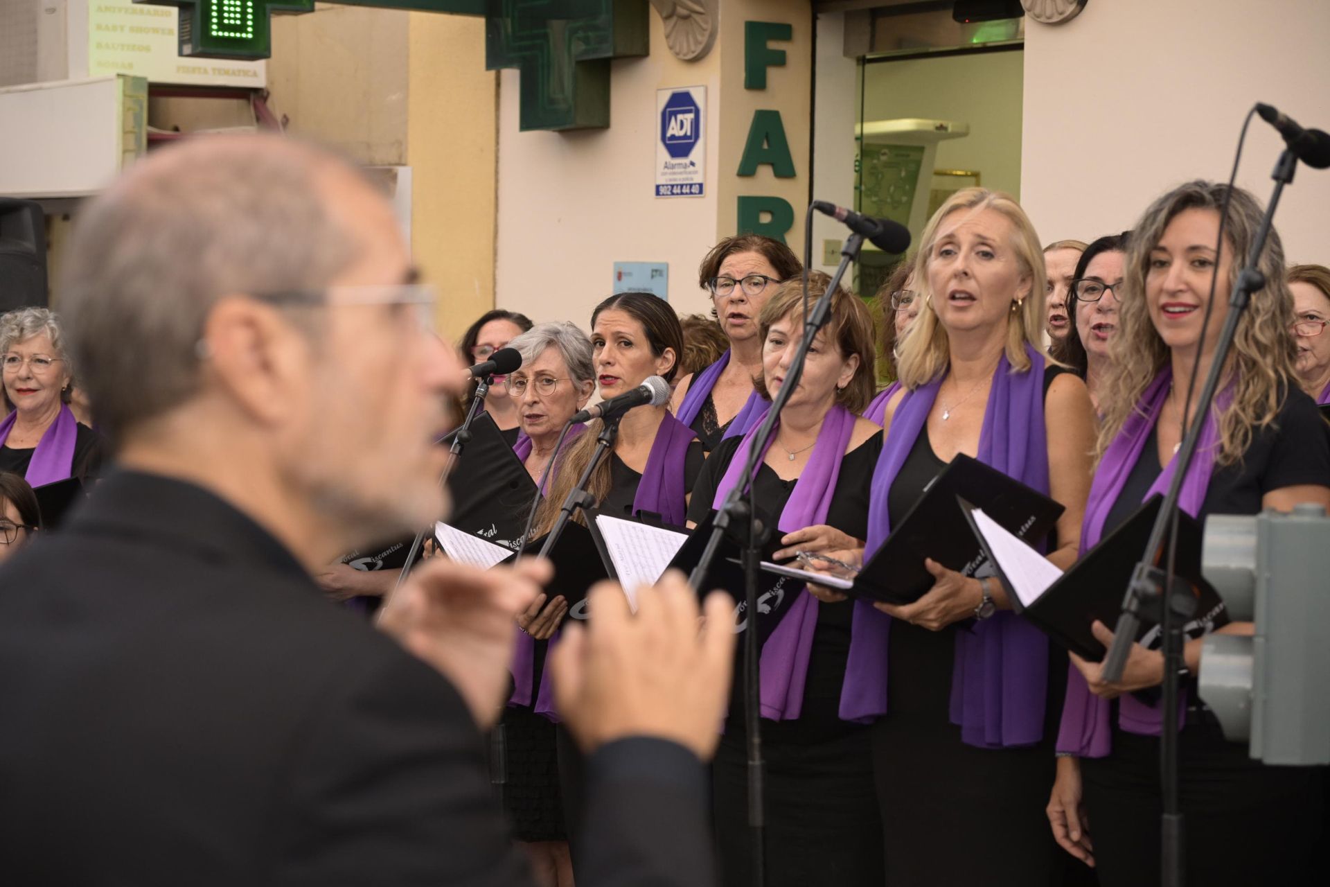 La bajada de la Virgen de la Fuensanta a la Catedral de Murcia, en imágenes