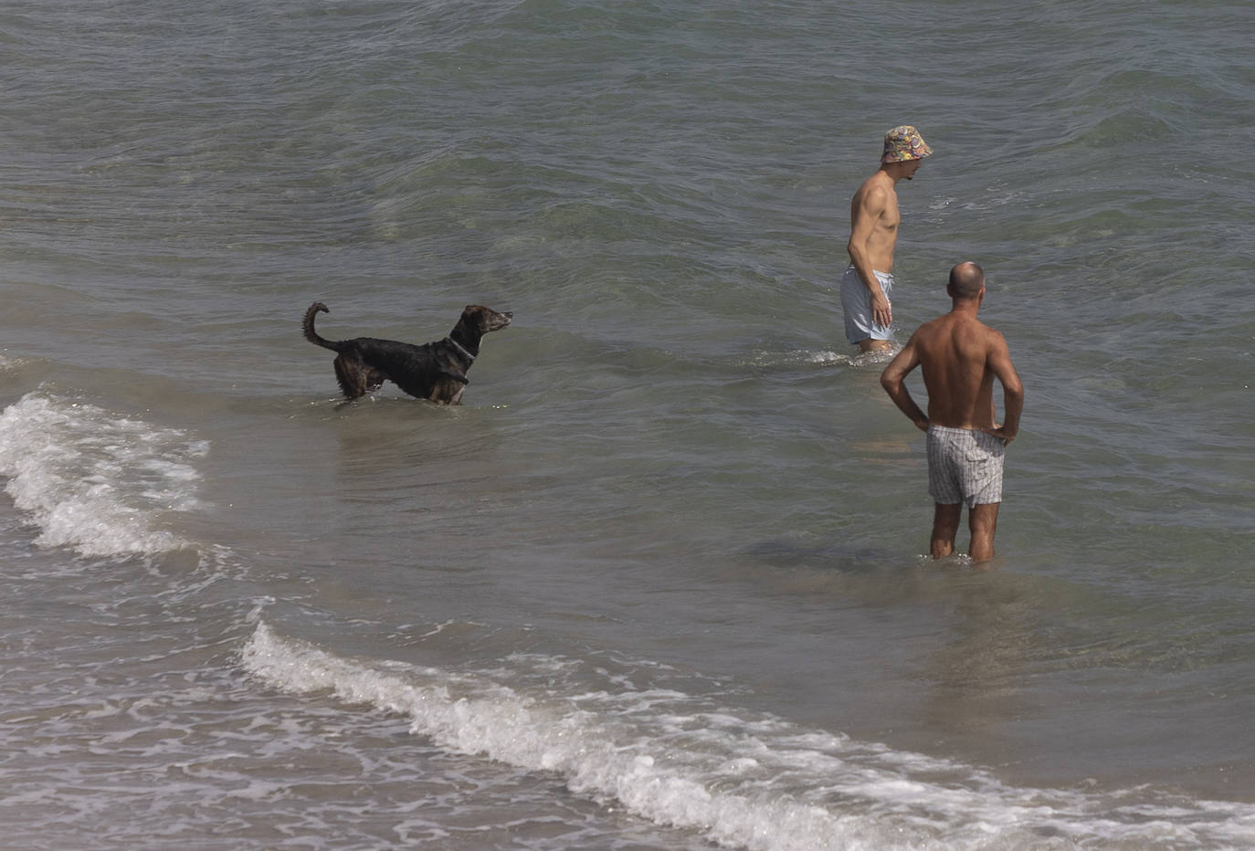 Alta ocupación en La Manga, en imágenes