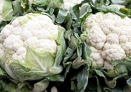 La coliflor se solía conocer popularmente como pava en Murcia.