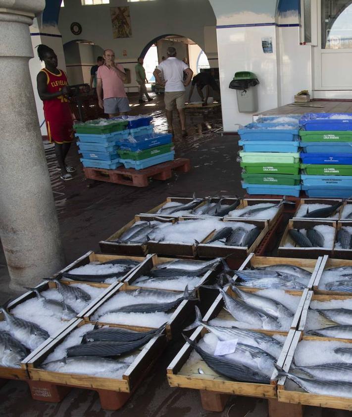 Imagen secundaria 2 - Varios pescadores preparan las cajas de pescado para la subasta de la tarde. 