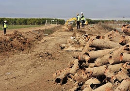 Retirada de tubos del salmueroducto en Los Alcázares, en 2017.