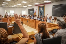 Los concejales votan, durante una sesión plenaria en Torrevieja.