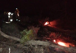 Bomberos del CEIS sofocando el incendio forestal en Yecla, este sábado por la noche.