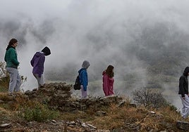 Se priorizarán acciones que contemplen el empoderamiento de los jóvenes y las mujeres.