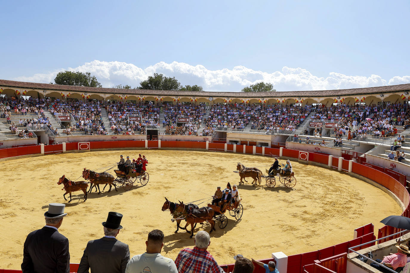 Las imágenes de la exhibición de enganches en Lorca