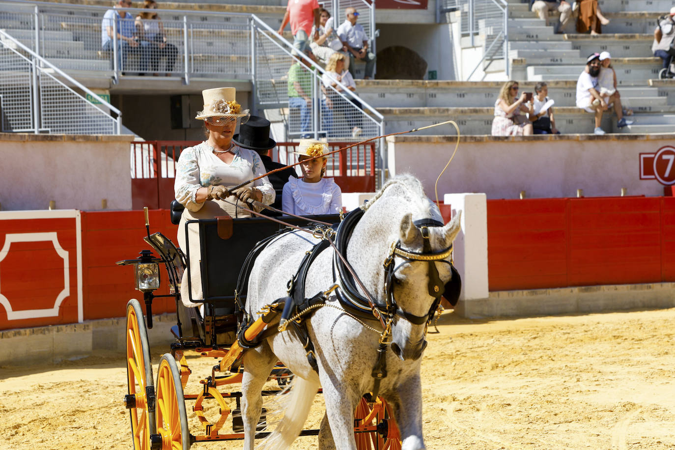 Las imágenes de la exhibición de enganches en Lorca