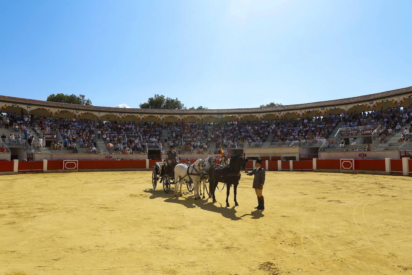 Las imágenes de la exhibición de enganches en Lorca