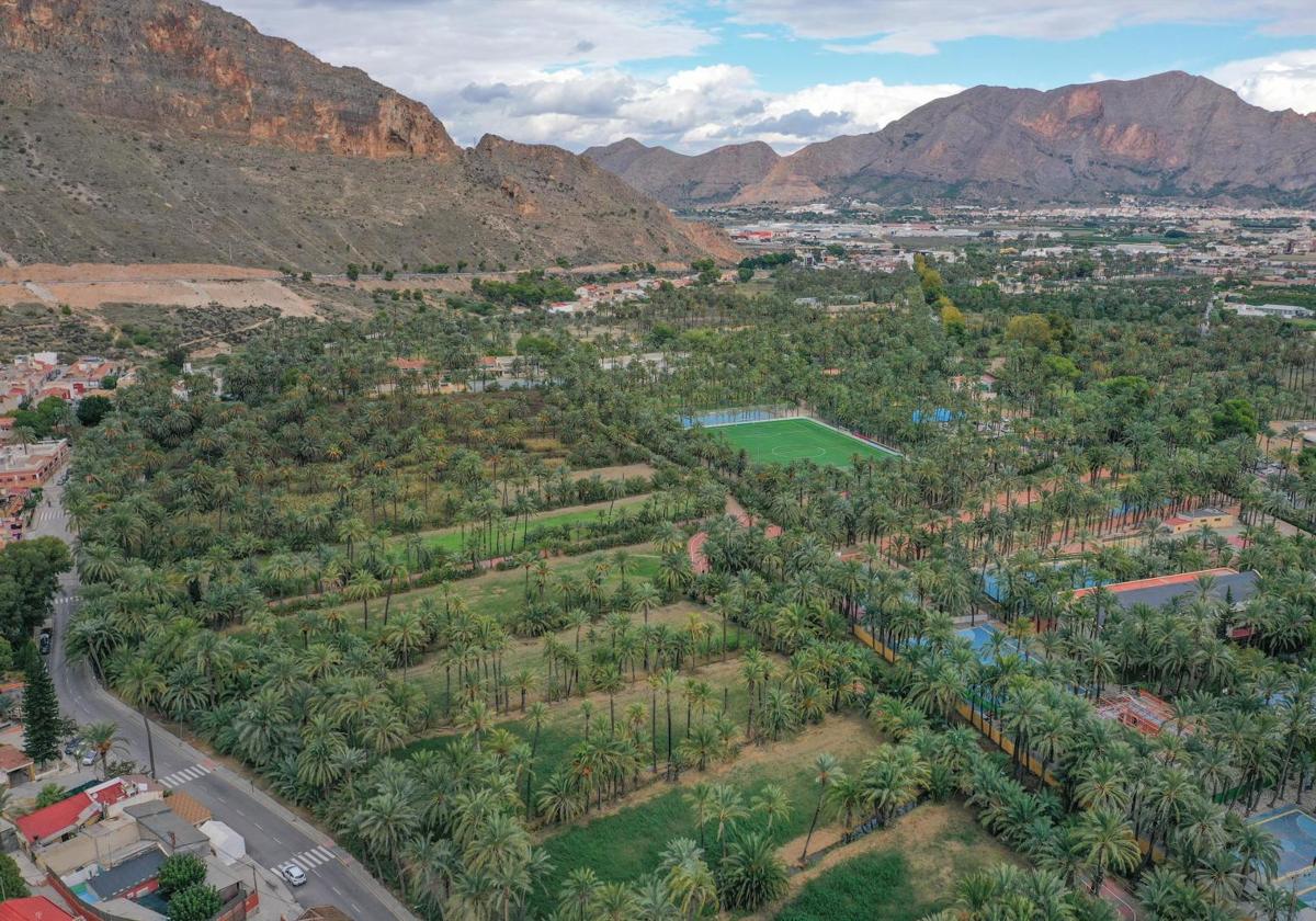 Vista aérea del Palmeral de Orihuela, en una foto de archivo.