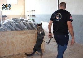 Un agente con un perro inspeccionando el almacén.