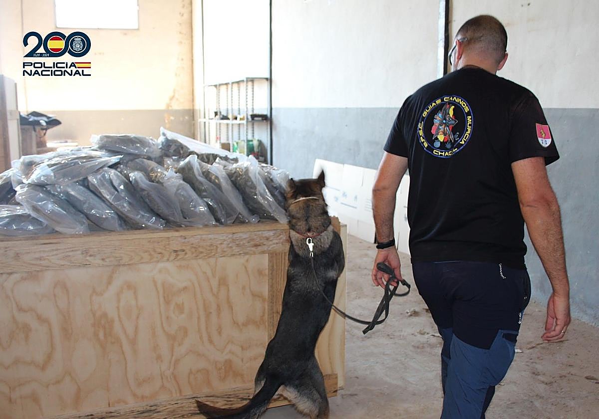 Un agente con un perro inspeccionando el almacén.