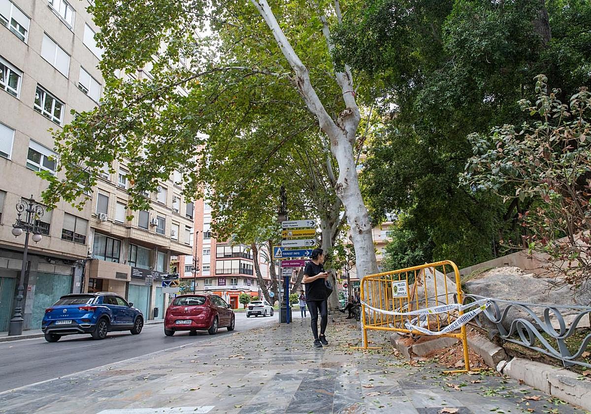 El alcorque en el que estaba plantado el árbol que cayó el pasado fin de semana, este miércoles, vallado y con el pavimento pendiente de reparar.