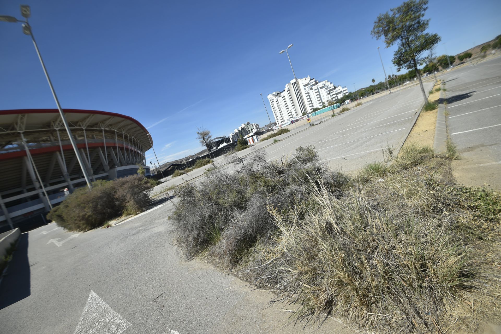 Desperfectos en el entorno del Enrique Roca de Murcia, en imágenes