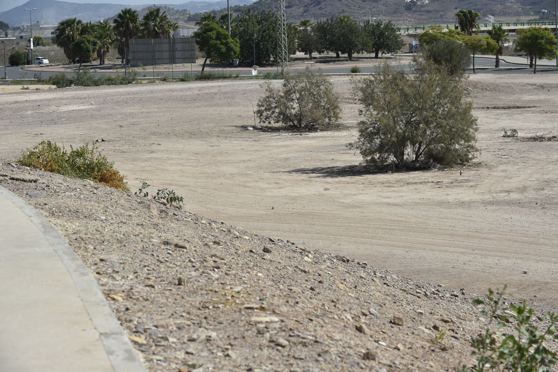 Desperfectos en el entorno del Enrique Roca de Murcia, en imágenes
