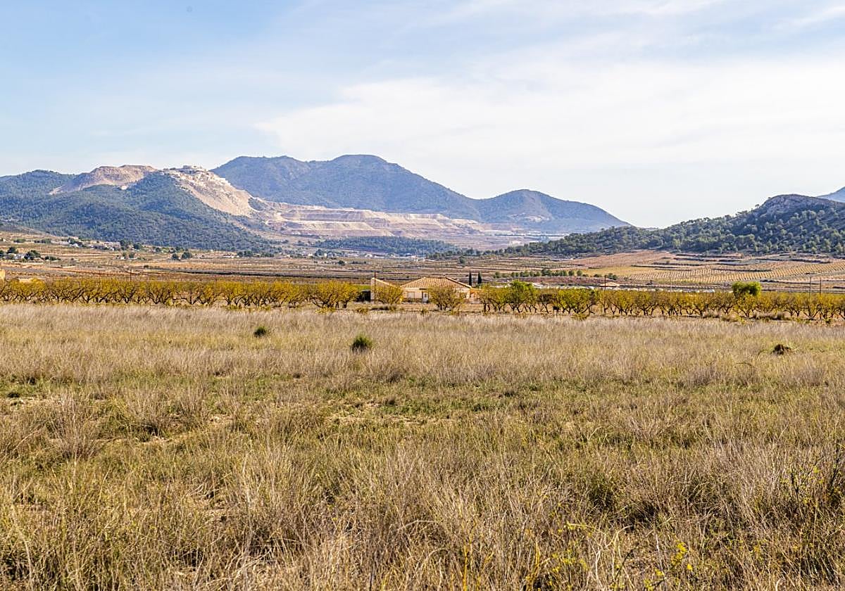 Terrenos agrícolas junto al caserío de los Frailes, donde se proyecta la macroplanta en Abanilla.