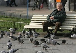 Un jubilado da de comer a las palomas en un parque de Vitoria, en una imagen de archivo.