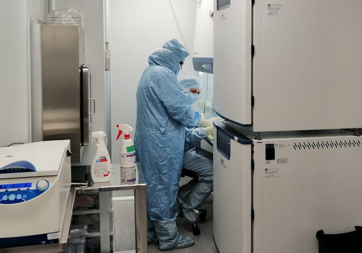 Dos sanitarios en la sala blanca del laboratorio de terapia celular del Virgen de La Arrixaca.