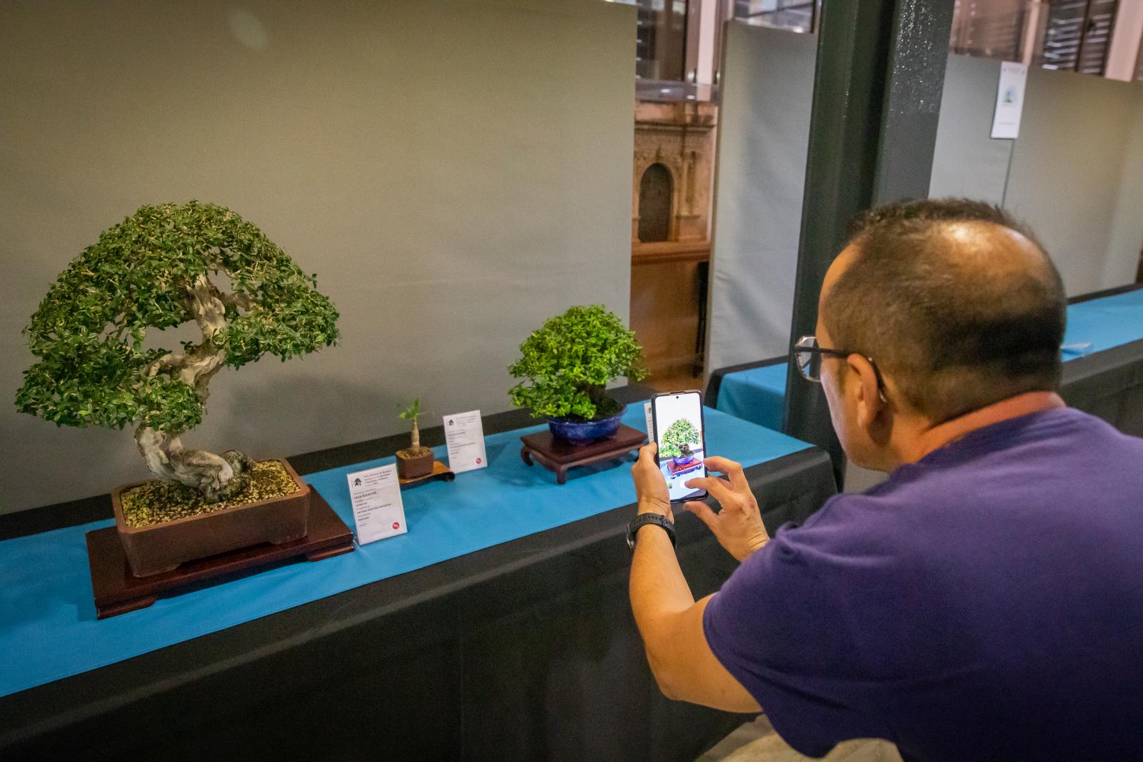 La exposición de bonsáis de Orihuela, en imágenes