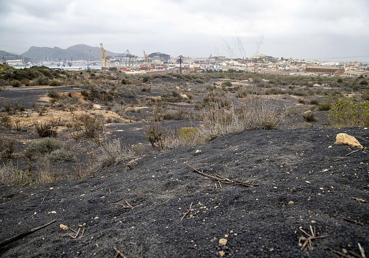 Suelos cercanos a la antigua fundición de plomo de Peñarroya, en el barrio cartagenero de Santa Lucía, en 2021.