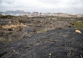 Suelos cercanos a la antigua fundición de plomo de Peñarroya, en el barrio cartagenero de Santa Lucía, en 2021.