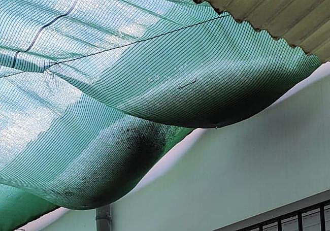 Granizo acumulado en la malla de sombraje de una vivienda.