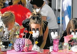 Curiosos al microscopio en una edición de la Secyt de la Región de Murcia.