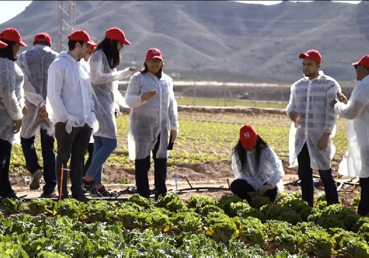 ENAE ofrece formación especializada en Agronegocios.